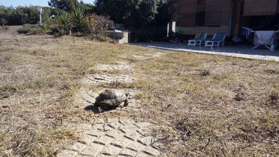 סטינטינו Eco Affittacamere Casa Maica Eco Guesthouse מראה חיצוני תמונה